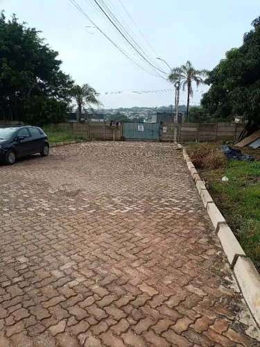 ARNIQUEIRAS AO LADO DO PARK WAY