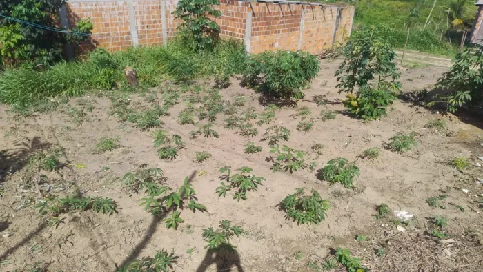 Vendo terreno na ilha de vera cruz em Tairu