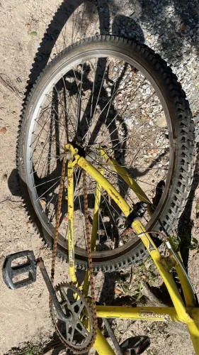 Bicicleta