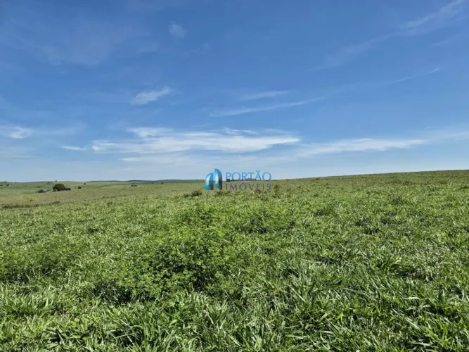 Fazenda de 453 hectares ou 187 alqueires a venda em Pirajuí-SP