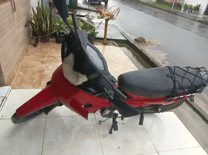 50cc phoenix gold 