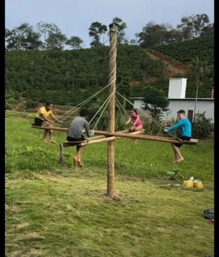 Brinquedo roda maluco de eucalipto para playground e parquinhos