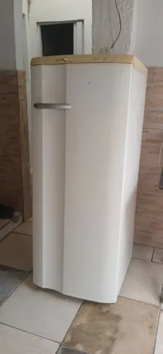 GELADEIRA ELETROLUX RE29