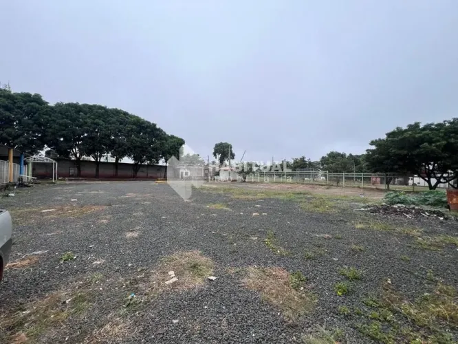 Aluguel Barracão SANTA MONICA