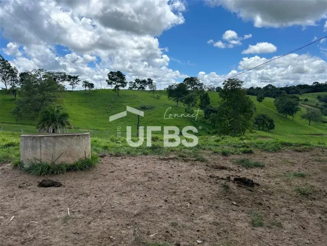 FAZENDA TERRA SANTA, Sua nova reserva de valor: 28,5 alqueires de terra de cultura, rica e