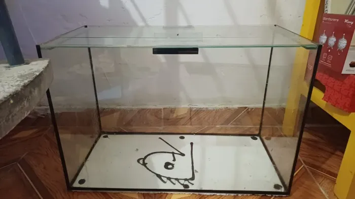 Aquário 30L e Aquário 10L + Bomba de oxigênio e decorativos