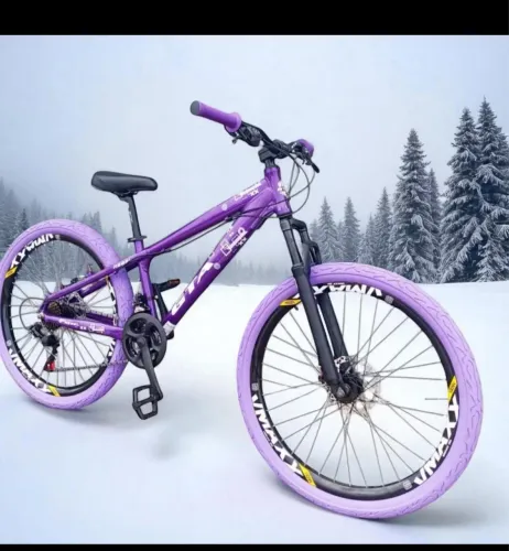 Bicicleta Aro 26 Gta Rebel Freeride Downhill 21v Rodas Vmaxx DH Freio a Disco Pneu Flame