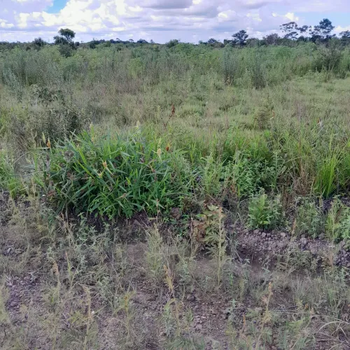 Belo terreno 34x60só 15min de Macapá.negocio com moto