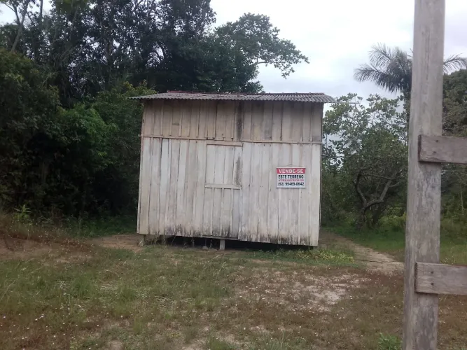 Vendo esse sítio no interior de Parintins 