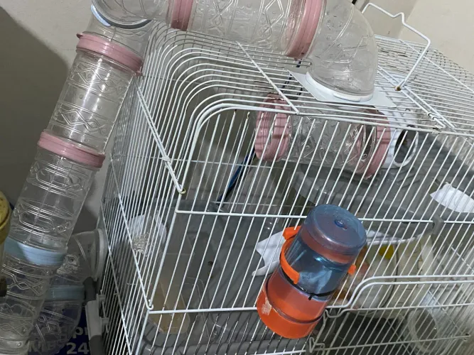 Gaiole de Hamster Safari Gigante