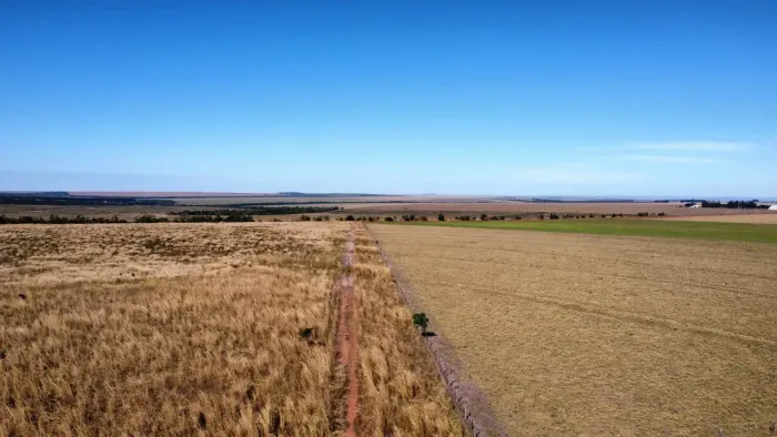 Fazenda c/ 564He, c/ 289he abertos, São Lourenço de Fatima-MT