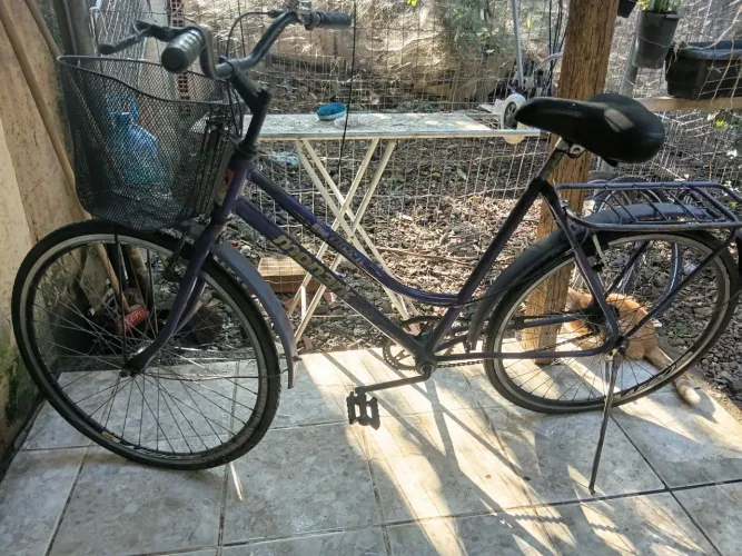 Bicicleta monark tropical