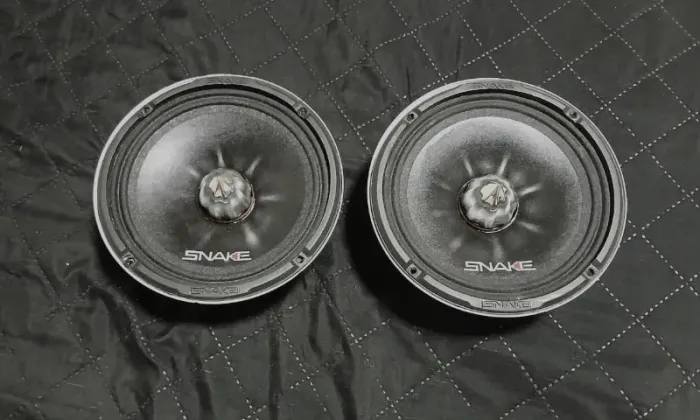 Par Alto Falante Snake Pro 6" ESV-220 (220W RMS Cada) - usados