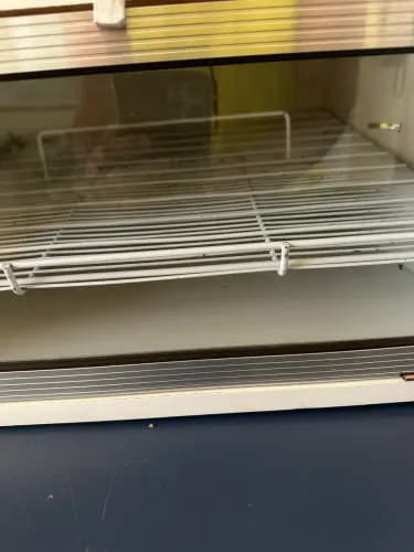 chocadeira 120 ovos 110 voltas 500,00