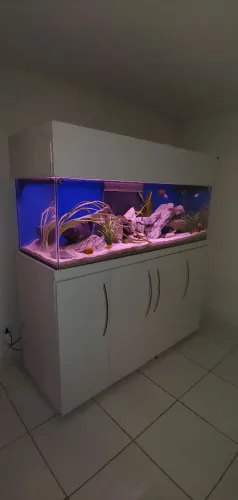 AQUÁRIO GRANDE COMPLETO! 