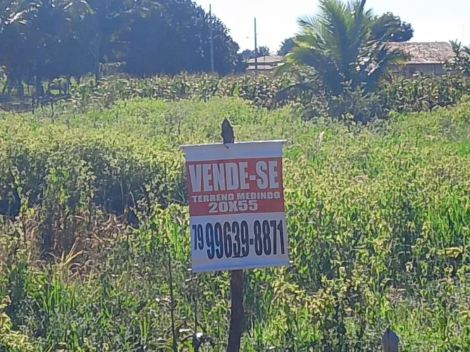 Tereno