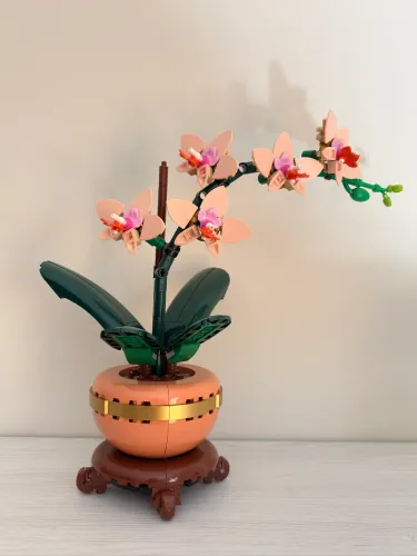 LEGO Botanicals 10343 - Mini Orquídea