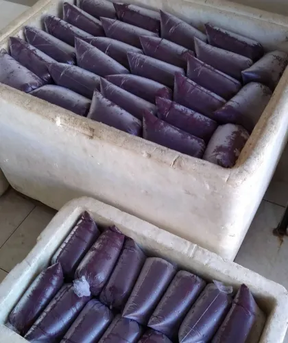 Polpas de açaí puro e natural 1kg