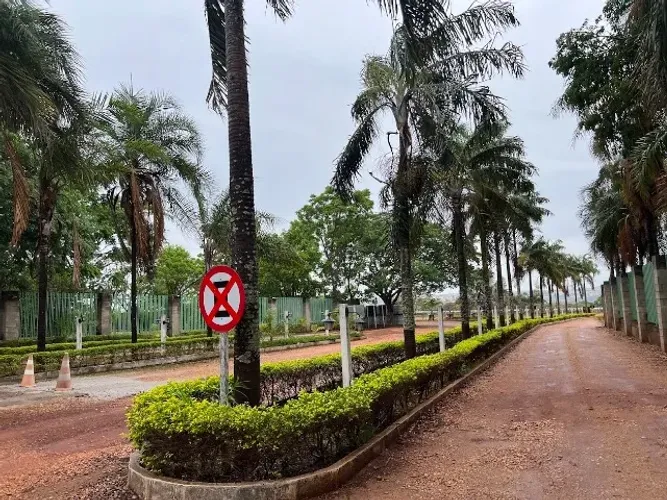 Chácara Condomínio Vale das Cachoeiras, 1,823,23m², Pomar, Plana, Cercada, Aragoiânia