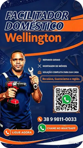 Wellington Facitador doméstico