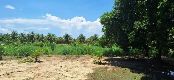 Sítio 2 Hectares (20.000m²) em Itaguaí - Piranema | Pomar, Água e Infraestrutura