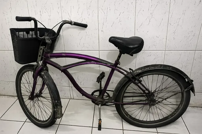 Bicicleta Beach Praiana Aro 26