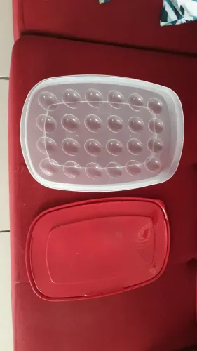 Vendo uma vazilha de plástico, porta ovos por 30 reais