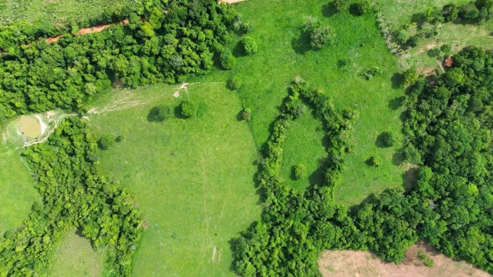 CHACARÁ EM ITABERAÍ - ÁREA TOTAL 2 ALQUEIRES -