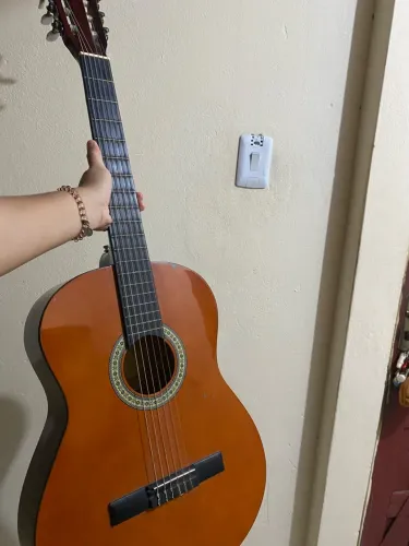 Violão Giannini