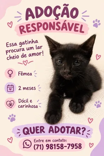 Gata para doação