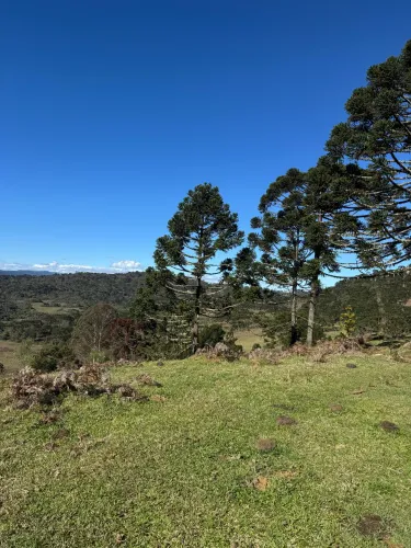 Vende se 2 hectares em Urubici 