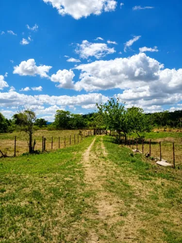 OPORTUNIDADE - FAZENDA COQUEIRO ALEGRE