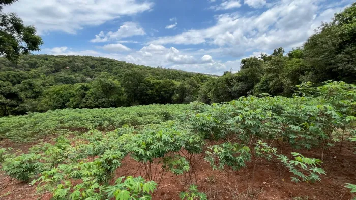Chácara a venda perto de Moeda/MG
