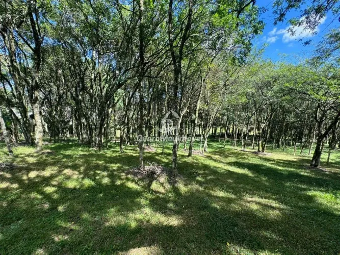 Terreno à venda São Ciro Caxias do Sul/RS