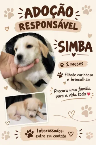 cachorrinho mestiço de rottweiler