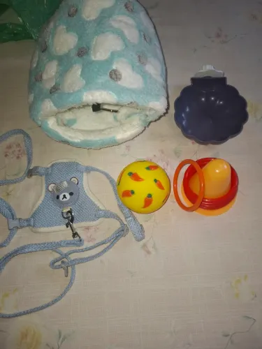 Acessórios para mine coelho e ramister