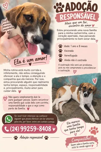 Adoção