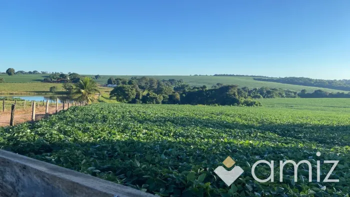 FAZENDA À VENDA  INDIARA/GO