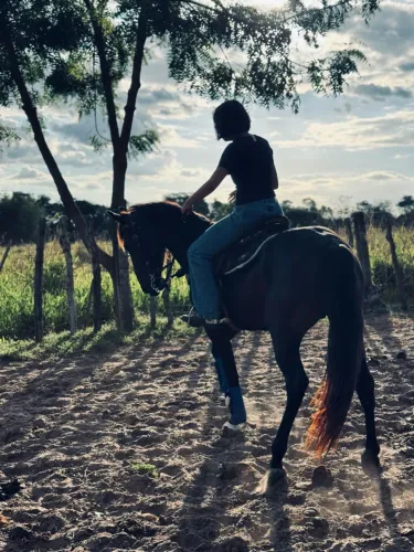 Vende-se cavalo