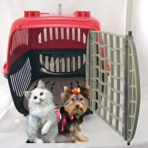 Caixa Pet de Transporte pet carro ônibus na cor Vermelha