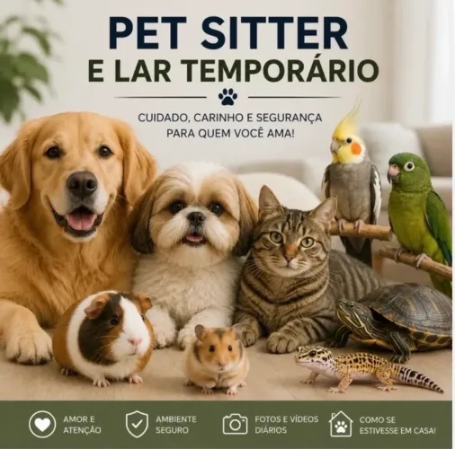 Lar temporário