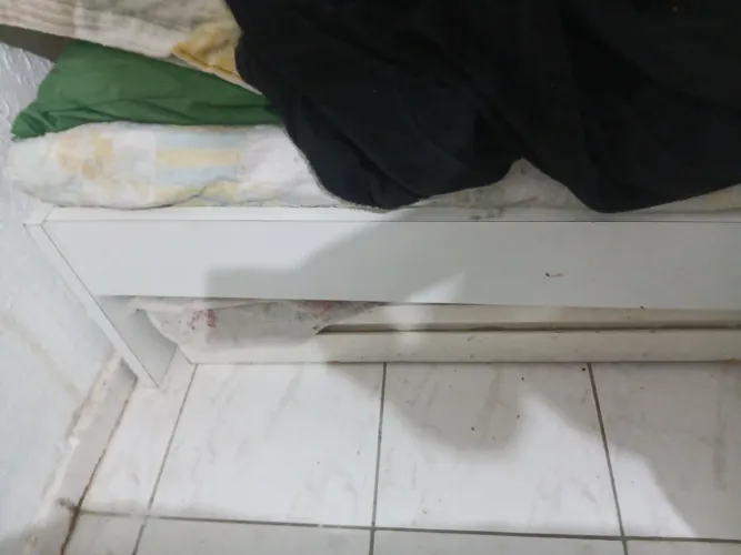 Cama solteiro MDf com colchão D33 Eurosono