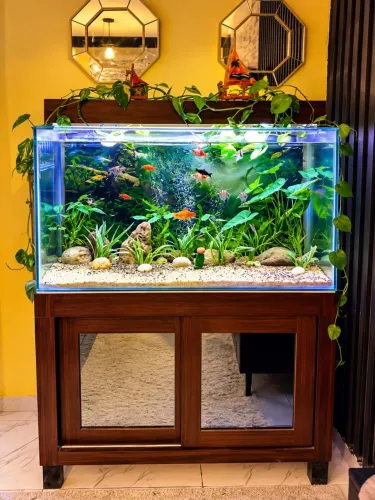 Aquário Completo 320 litros com móvel, sump e LED.