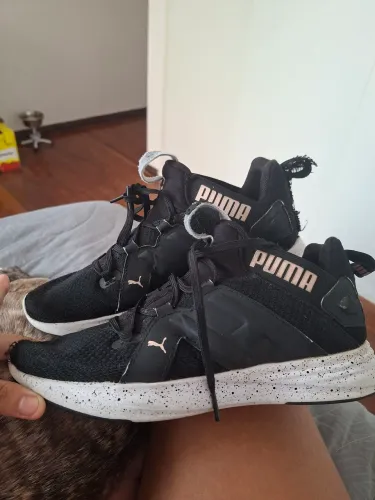 Tennis puma