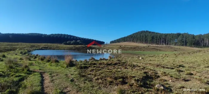 Lote em Est Pai Bitu - Eletra - São Francisco de Paula/RS