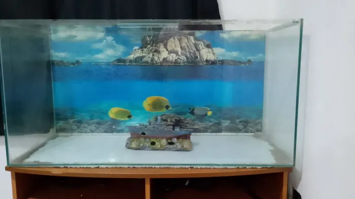Aquário 200 litros