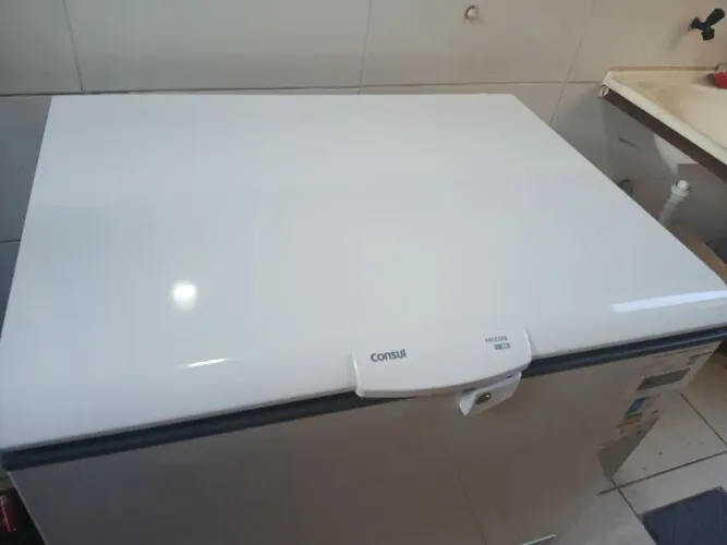 Vende se Freezer 309 litros
