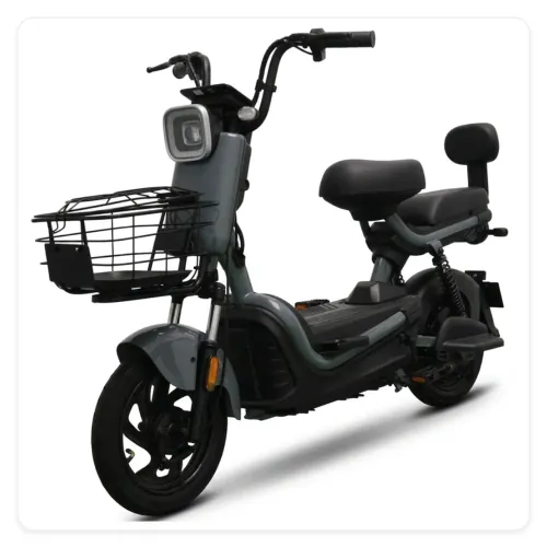 Moto Elétrica Smart Wheel SW 001 1000W 48V 20Ah