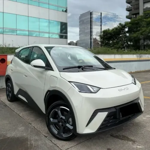 BYD Dolphin Mini (Elétrico) 2024