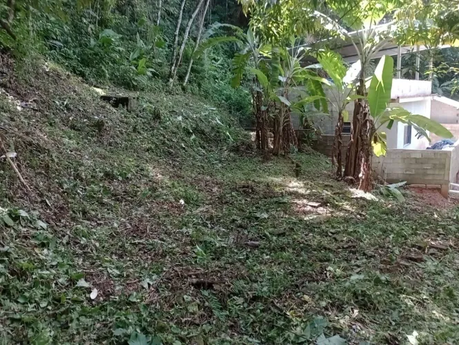 TERRENO FRENTE CACHOEIRA